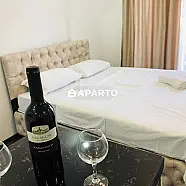 50 ლარი ღამე, ბინა დღიურად