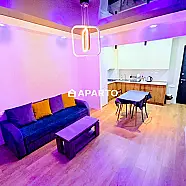 50 ლარი ღამე, ბინა დღიურად