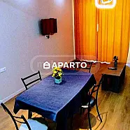 50 ლარი ღამე, ბინა დღიურად