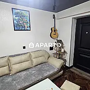 120 ლარი ღამე, ბინა დღიურად