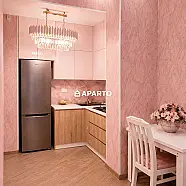 50 ლარი ღამე, ბინა დღიურად