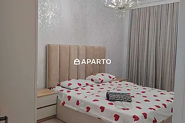 80 ლარი ღამე, ბინა დღიურად