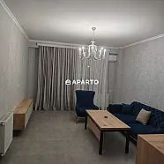 80 ლარი ღამე, ბინა დღიურად