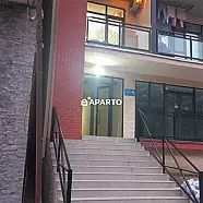 50 ლარი ღამე, ბინა დღიურად