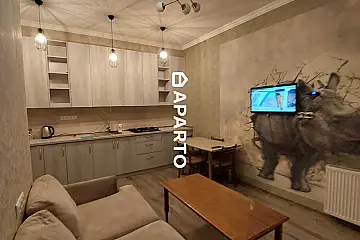 90 ლარი ღამე, ბინა დღიურად