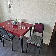 50 ლარი ღამე, ბინა დღიურად