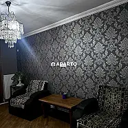50 ლარი ღამე, ბინა დღიურად