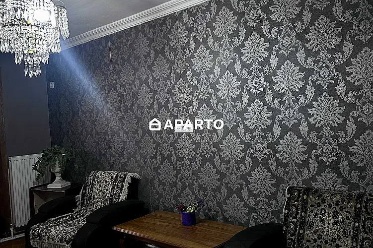 50 ლარი ღამე, ბინა დღიურად