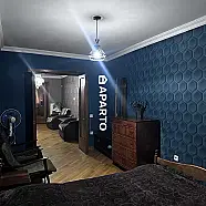 50 ლარი ღამე, ბინა დღიურად