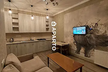 90 ლარი ღამე, ბინა დღიურად