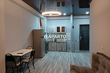 90 ლარი ღამე, ბინა დღიურად