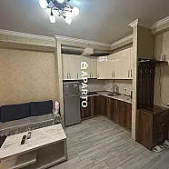 70 ლარი ღამე, ბინა დღიურად