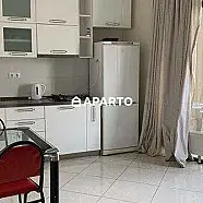 100 ლარი ღამე, ბინა დღიურად