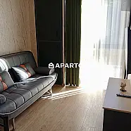 60 ლარი ღამე, ბინა დღიურად
