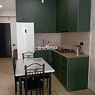 60 ლარი ღამე, ბინა დღიურად