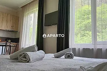 30 ლარი ღამე, ბინა დღიურად