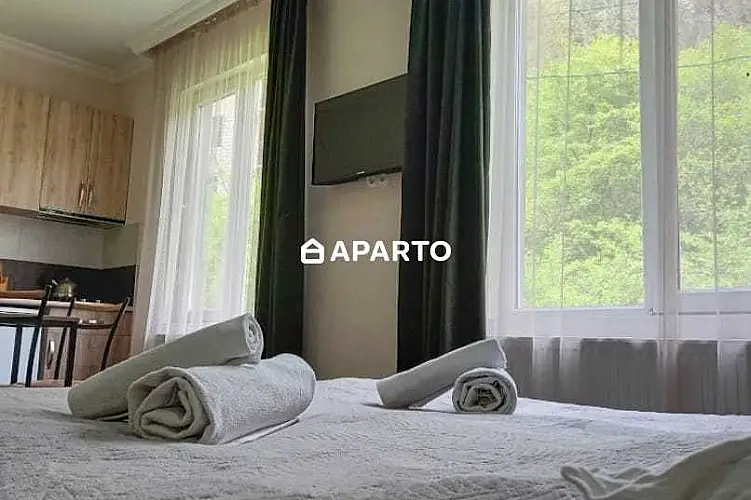 30 ლარი ღამე, ბინა დღიურად