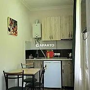 30 ლარი ღამე, ბინა დღიურად