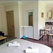 30 ლარი ღამე, ბინა დღიურად