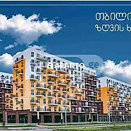 100 ლარი ღამე, ბინა დღიურად