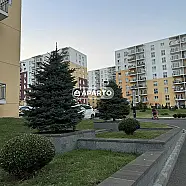 100 ლარი ღამე, ბინა დღიურად