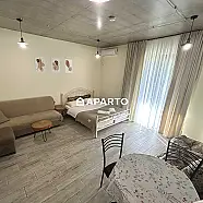 60 ლარი ღამე, ბინა დღიურად