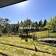 60 ლარი ღამე, ბინა დღიურად
