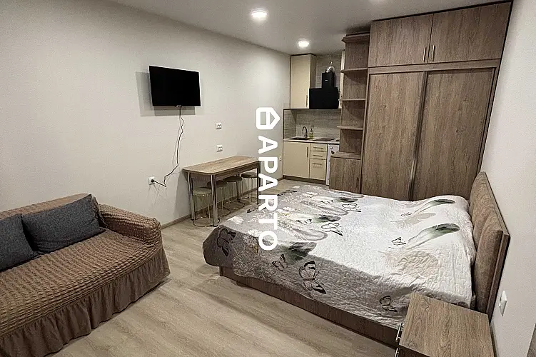 60 ლარი ღამე, ბინა დღიურად