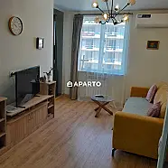 150 ლარი ღამე, ბინა დღიურად