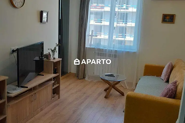 150 ლარი ღამე, ბინა დღიურად
