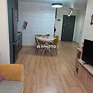 150 ლარი ღამე, ბინა დღიურად