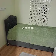 150 ლარი ღამე, ბინა დღიურად