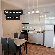 50 ლარი ღამე, ბინა დღიურად