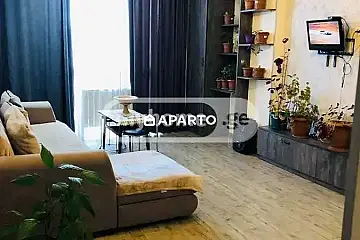 80 ლარი ღამე, ბინა დღიურად