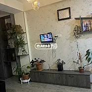 80 ლარი ღამე, ბინა დღიურად
