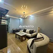 150 ლარი ღამე, ბინა დღიურად