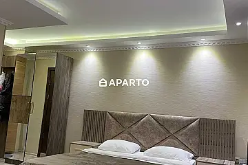80 ლარი ღამე, ბინა დღიურად