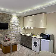 80 ლარი ღამე, ბინა დღიურად