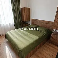 35 ლარი ღამე, ბინა დღიურად