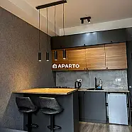70 ლარი ღამე, ბინა დღიურად
