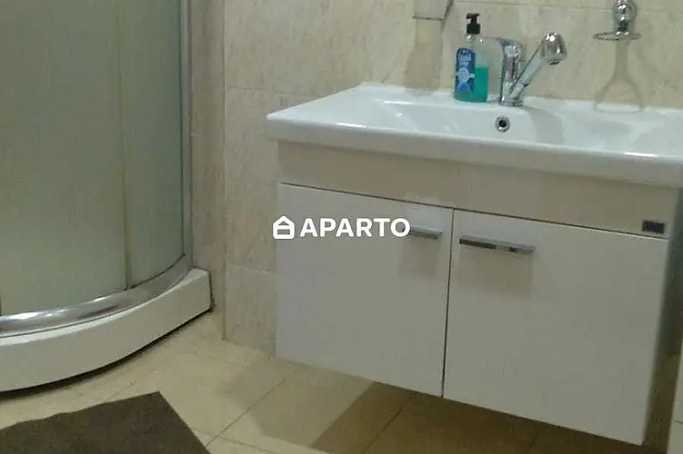 150 ლარი ღამე, ბინა დღიურად
