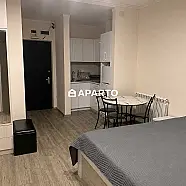 90 ლარი ღამე, ბინა დღიურად
