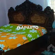 100 ლარი ღამე, ბინა დღიურად