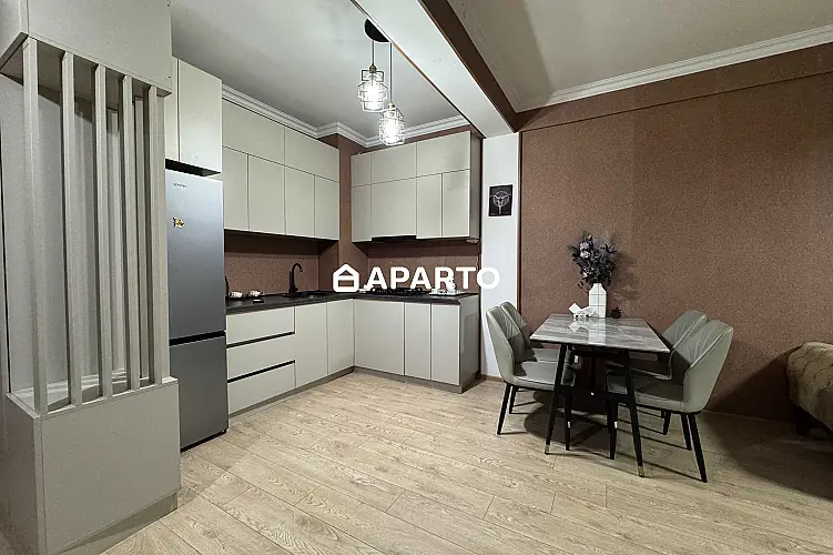 60 ლარი ღამე, ბინა დღიურად