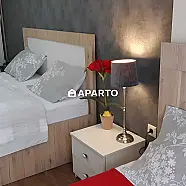 120 ლარი ღამე, ბინა დღიურად