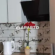 120 ლარი ღამე, ბინა დღიურად