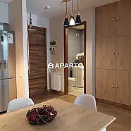 120 ლარი ღამე, ბინა დღიურად