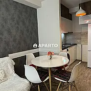 100 ლარი ღამე, ბინა დღიურად