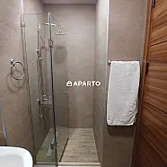 100 ლარი ღამე, ბინა დღიურად