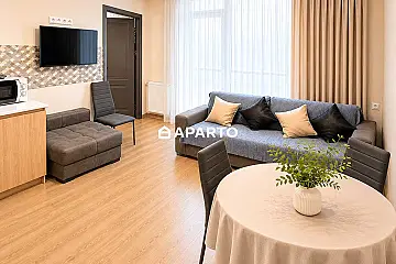 60 ლარი ღამე, ბინა დღიურად